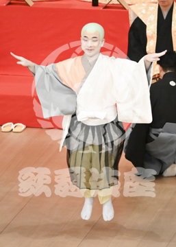 【5月】六歌仙容彩