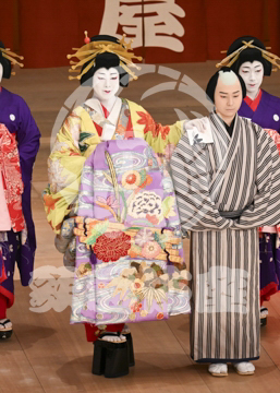 【5月】助六由縁江戸桜