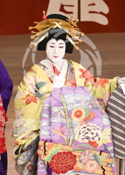 【5月】助六由縁江戸桜