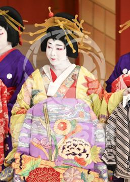 【5月】助六由縁江戸桜