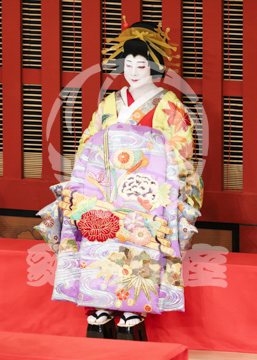 【5月】助六由縁江戸桜