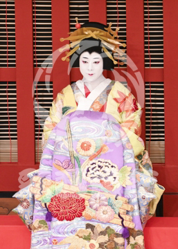 【5月】助六由縁江戸桜