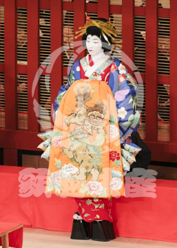 【5月】助六由縁江戸桜