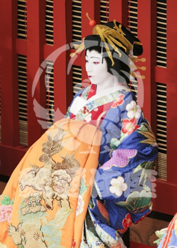 【5月】助六由縁江戸桜