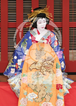 【5月】助六由縁江戸桜