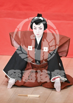 【5月】助六由縁江戸桜