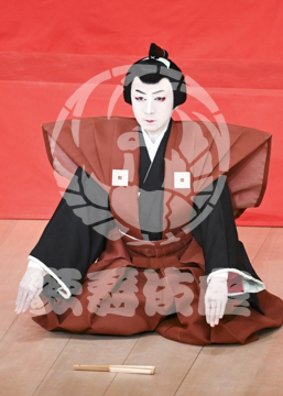 【5月】助六由縁江戸桜