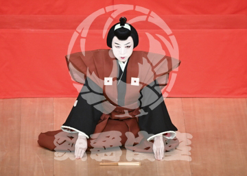 【5月】助六由縁江戸桜