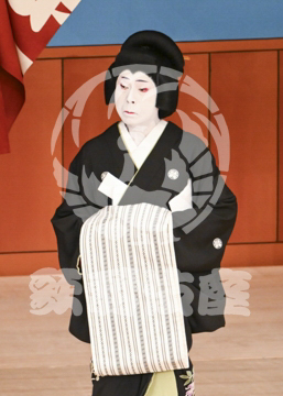 【5月】助六由縁江戸桜