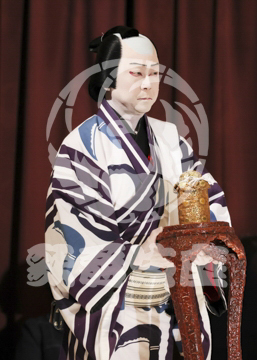 【5月】助六由縁江戸桜