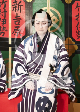 【5月】助六由縁江戸桜