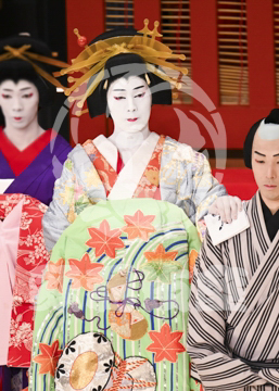 【5月】助六由縁江戸桜