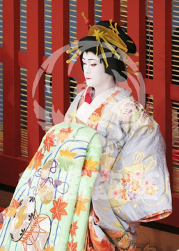 【5月】助六由縁江戸桜