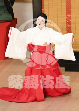 【5月】六歌仙容彩