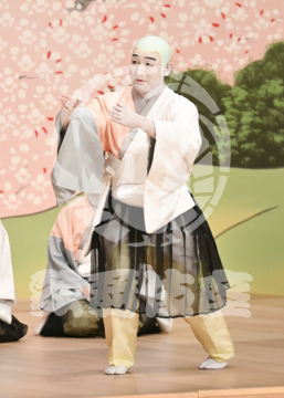 【5月】六歌仙容彩