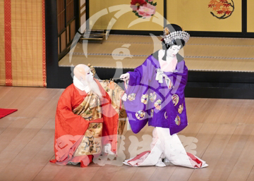 【5月】六歌仙容彩