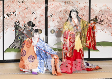 【5月】六歌仙容彩