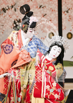 【5月】六歌仙容彩
