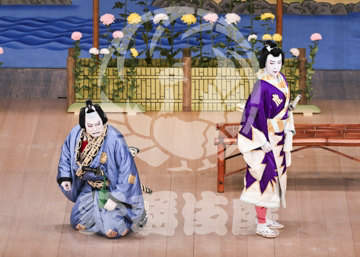 【5月】鬼一法眼三略巻菊畑