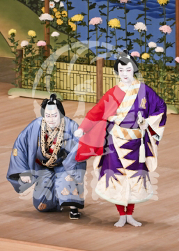 【5月】鬼一法眼三略巻菊畑