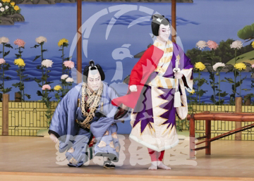 【5月】鬼一法眼三略巻菊畑