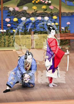 【5月】鬼一法眼三略巻菊畑