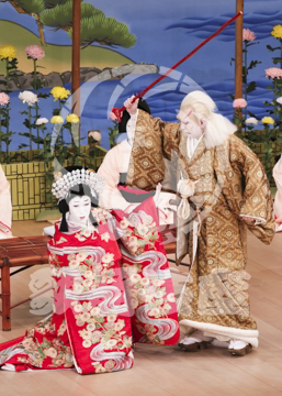 【5月】鬼一法眼三略巻菊畑