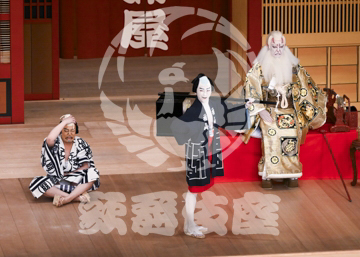 【5月】助六由縁江戸桜