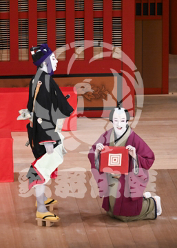 【5月】助六由縁江戸桜