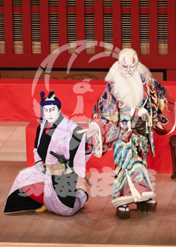 【5月】助六由縁江戸桜