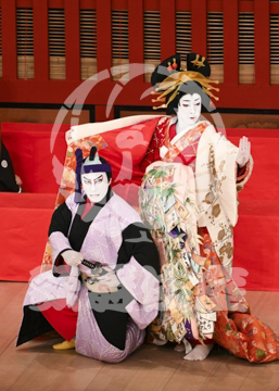 【5月】助六由縁江戸桜