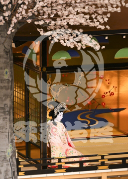 【6月】祇園祭礼信仰記金閣寺