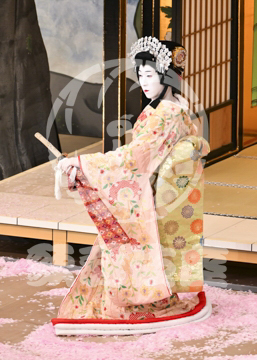 【6月】祇園祭礼信仰記金閣寺