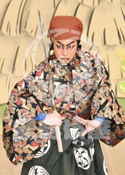 【6月】戻駕色相肩