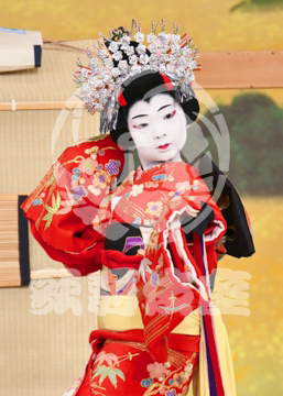 【6月】戻駕色相肩