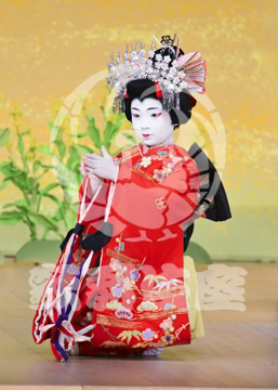【6月】戻駕色相肩