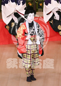 【6月】華舞於河賑俄獅子