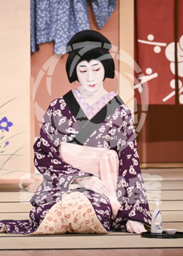 【6月】盟三五大切