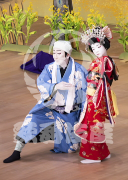 【6月】戻駕色相肩