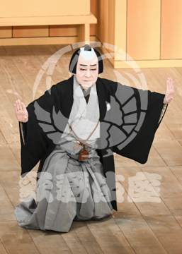 【7月】神明恵和合取組め組の喧嘩