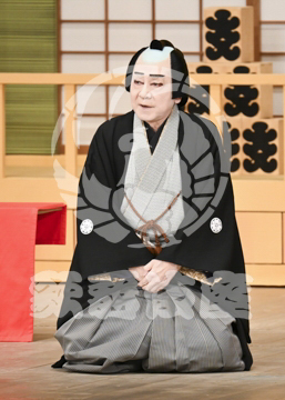 【7月】神明恵和合取組め組の喧嘩