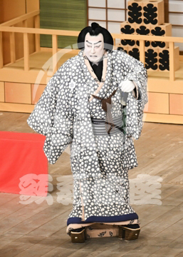 【7月】神明恵和合取組め組の喧嘩