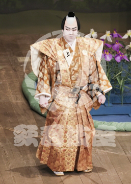 【7月】時今也桔梗旗揚