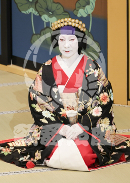 【7月】時今也桔梗旗揚
