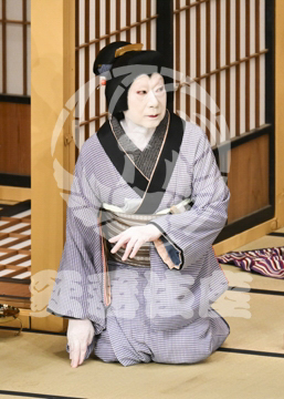 【7月】神明恵和合取組め組の喧嘩
