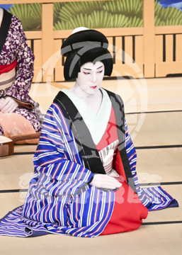 【7月】神明恵和合取組め組の喧嘩