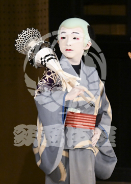 【7月】神明恵和合取組め組の喧嘩