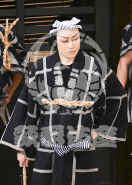 【7月】神明恵和合取組め組の喧嘩