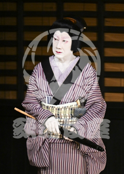 【7月】神明恵和合取組め組の喧嘩
