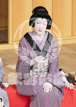 【7月】神明恵和合取組め組の喧嘩